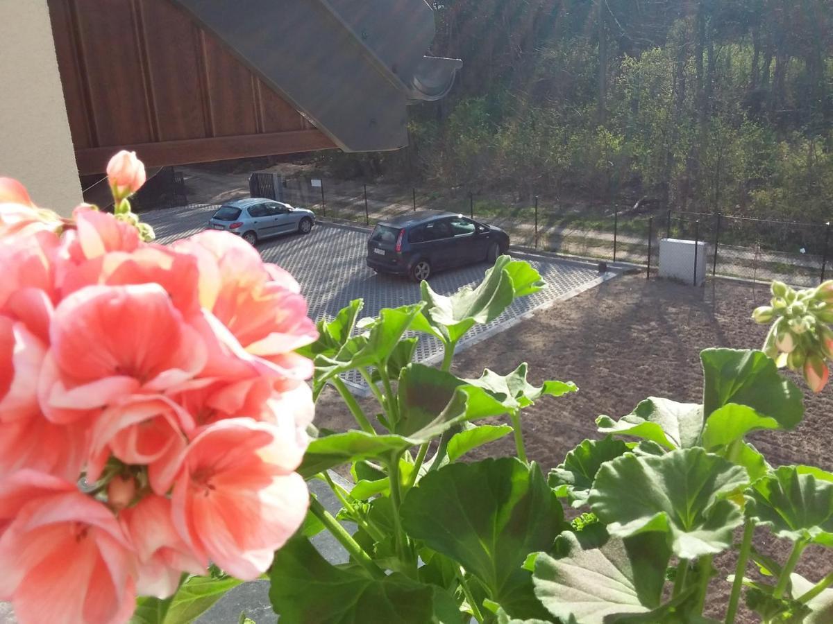 Dworek Akacja Uslugi Hotelarskie Яновєц Екстер'єр фото