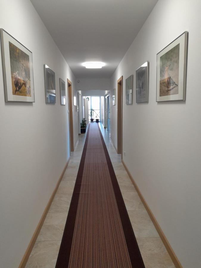 Dworek Akacja Uslugi Hotelarskie Яновєц Екстер'єр фото